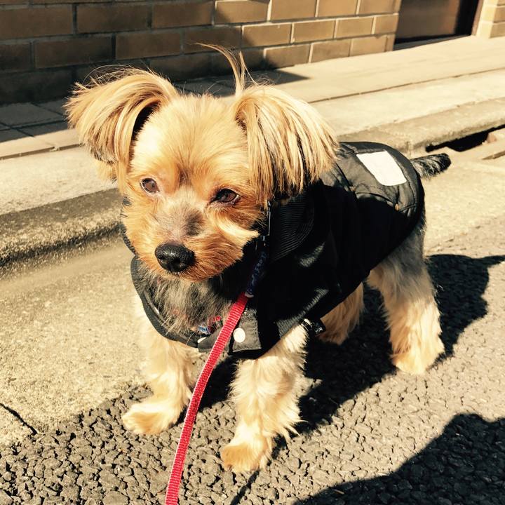 Bfff6ec9 d801 4446 ad7b 6fa4db84d659