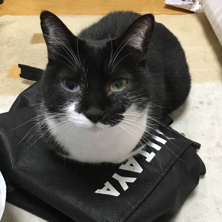 Bfffdbe6 263e 488b b806 6a90c283140d