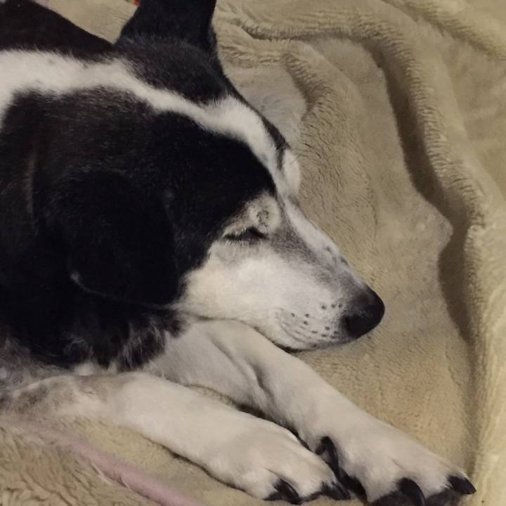 C000101d 9dad 429d 861e 0d4de1c9ad89