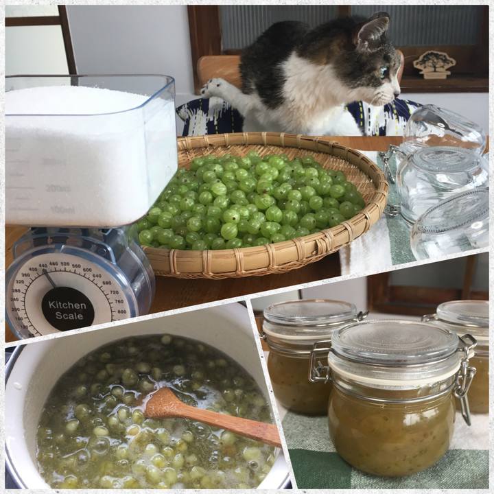 C0009fea dc65 4a69 89f5 8fc2067d650d