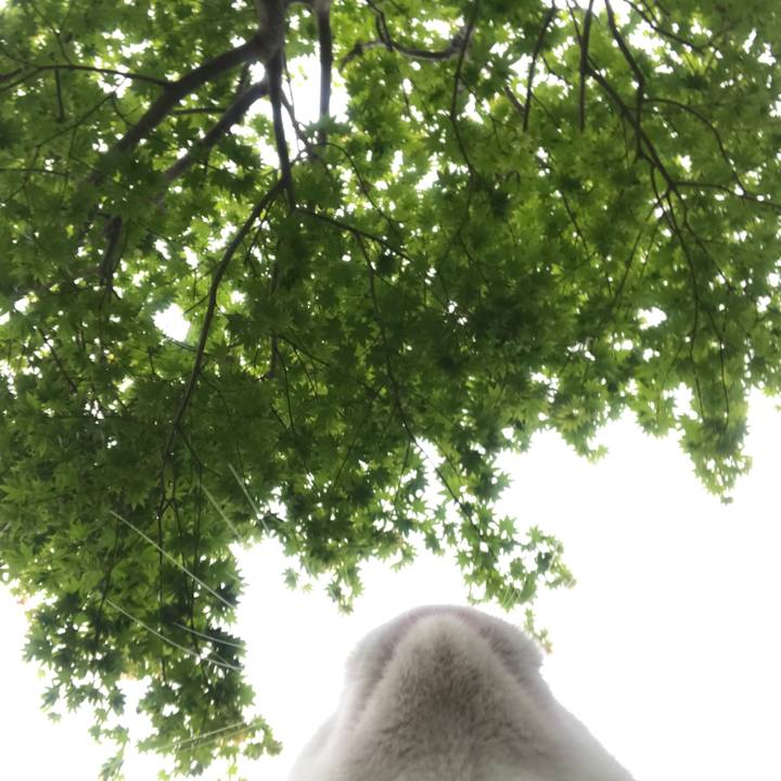 C000f137 3fe0 4123 9b9a 8e8b30ee245a