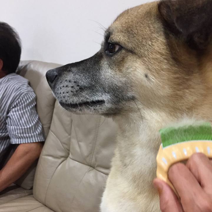 C0010772 9925 4e27 a8fb dd55c1908e95