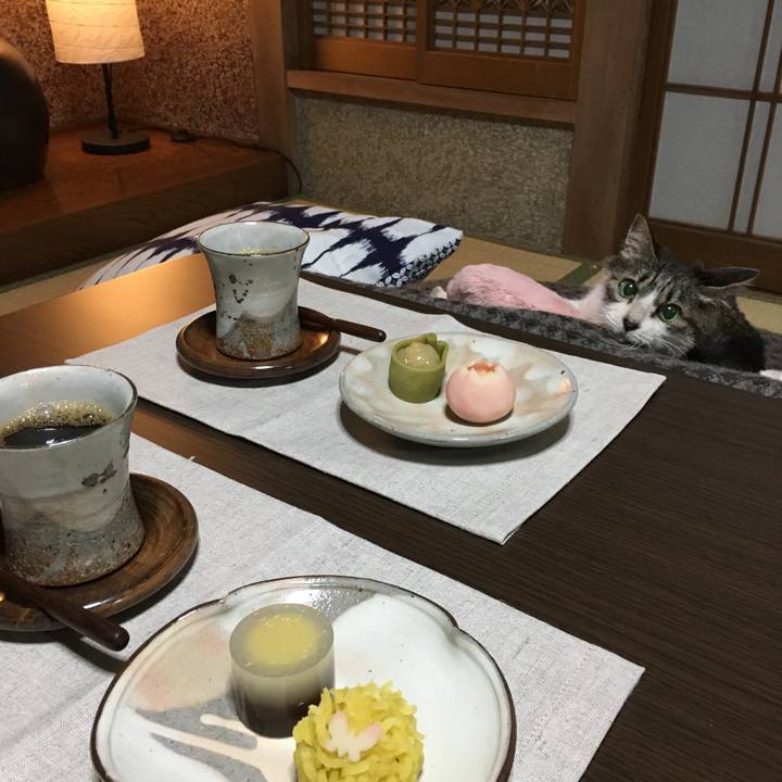 C001d80d ffe0 4a3e b8df 17b56ebd00f5