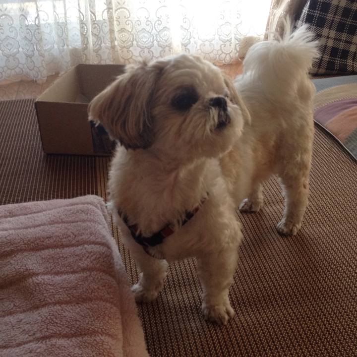 C0023b5e d084 4e3d b5c9 9e4cfded703f