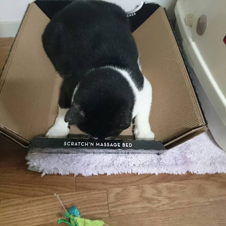 C002877b fb6e 43cc be3b c842840920b7