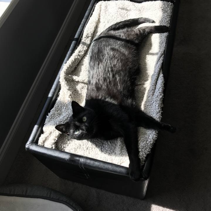 C0029d1b 2bc8 40d8 b73f de9b517ecf78