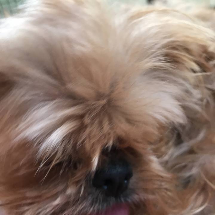 C0032b7e 9f89 4f26 aeff fdfcad1d276b