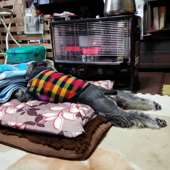 C0036777 6fa1 4f02 9348 f41dcce4c28e