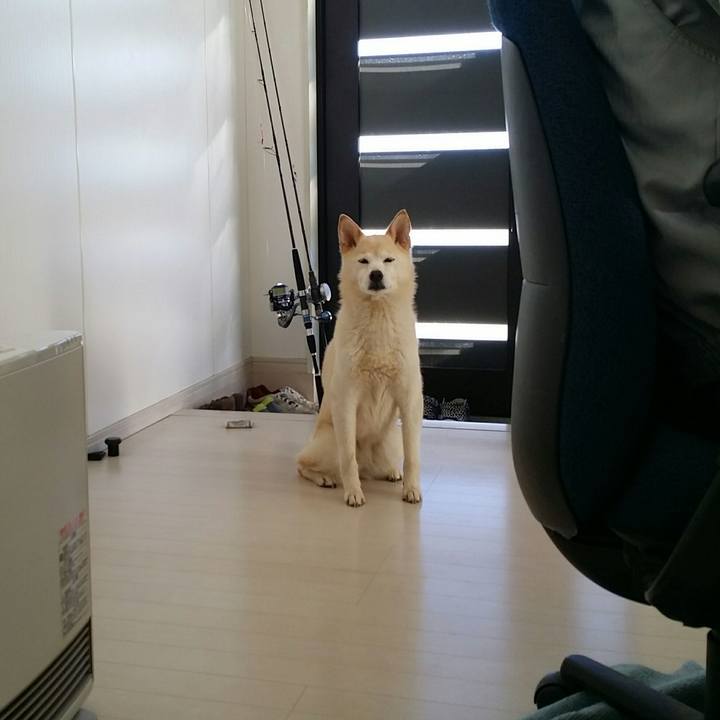 C00375e6 f9ad 41f4 91f8 2b8cd6fc3a58