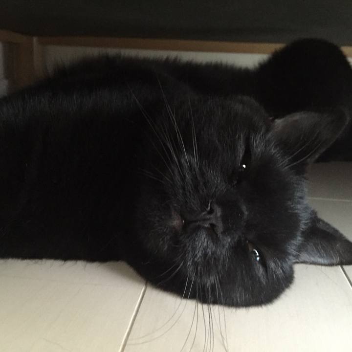 C003a163 1b18 4e18 8981 3a705a530521