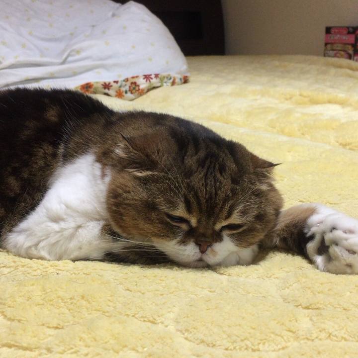 C003d94f 1e68 43f3 acde cade9b701778