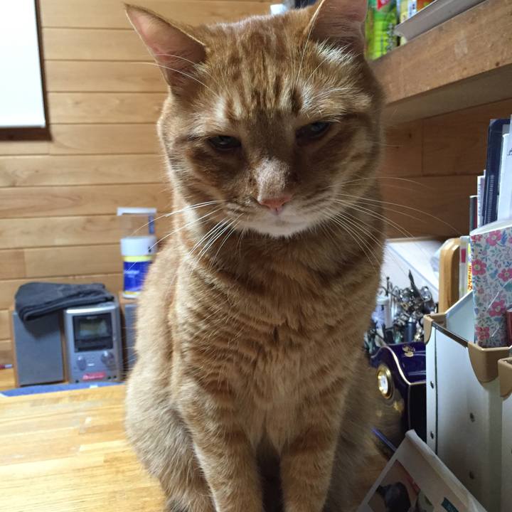 C003e215 ba73 465d 9eb6 0048911fee22