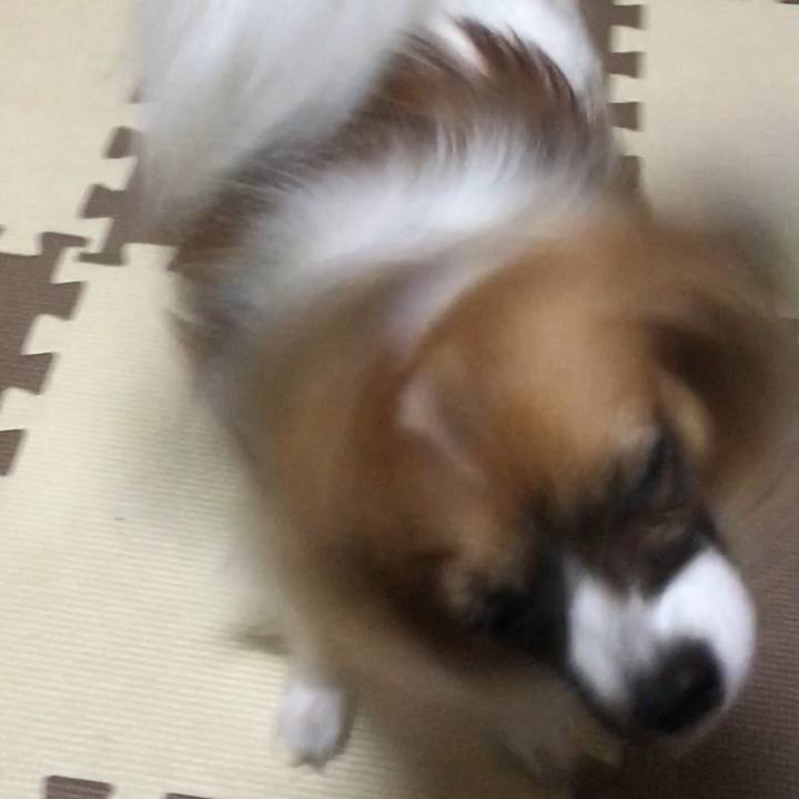 C00498e1 997e 4d4a b344 26c2dc525182