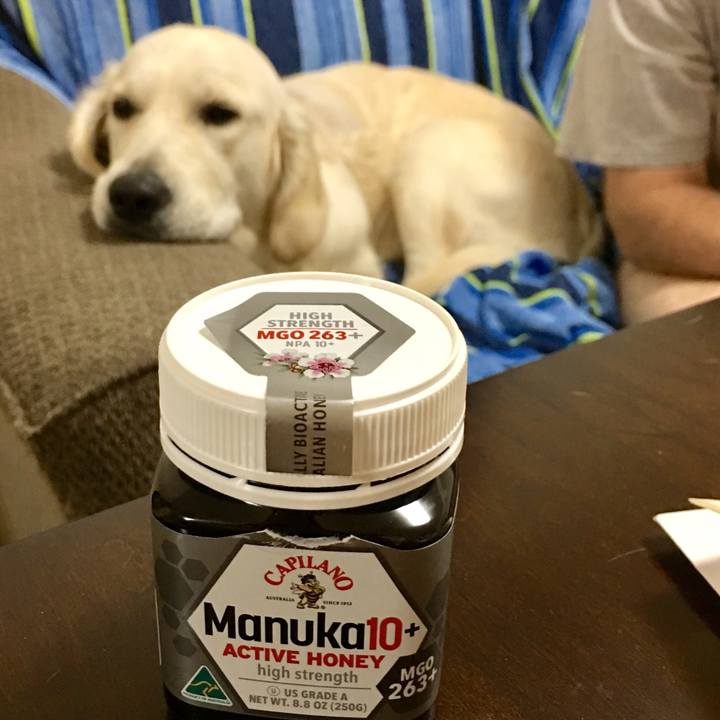 C005b735 b796 41f1 8545 72df4d12f713