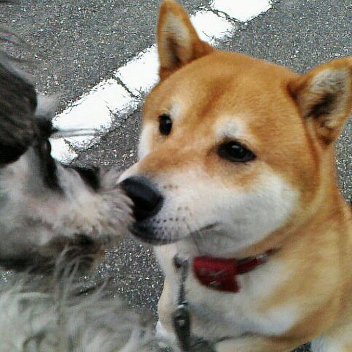 C0060bc5 b735 4043 9d37 49c53436357c