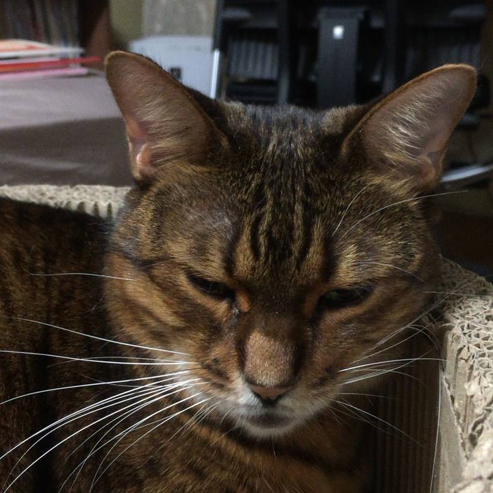 C006ab8c dcee 4e75 86ae 0f5e229aea08