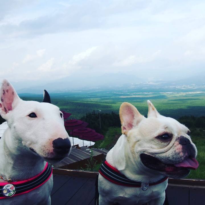 C0075af4 44a0 4e6d a364 19001af511e5