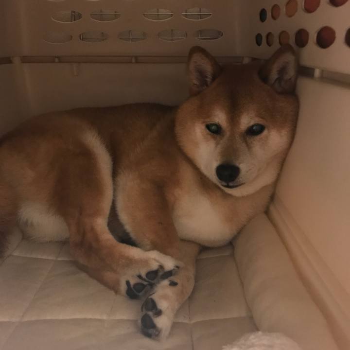 C0078170 cf9f 4281 a7e6 134911fd8d68