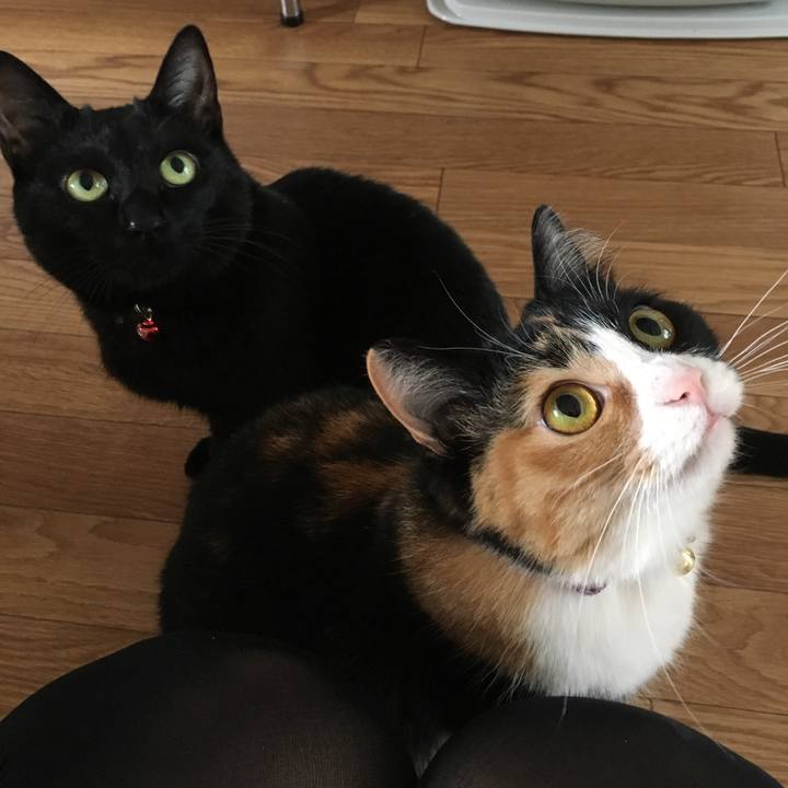 C007ab69 5acb 42c7 90c8 8927456bc556