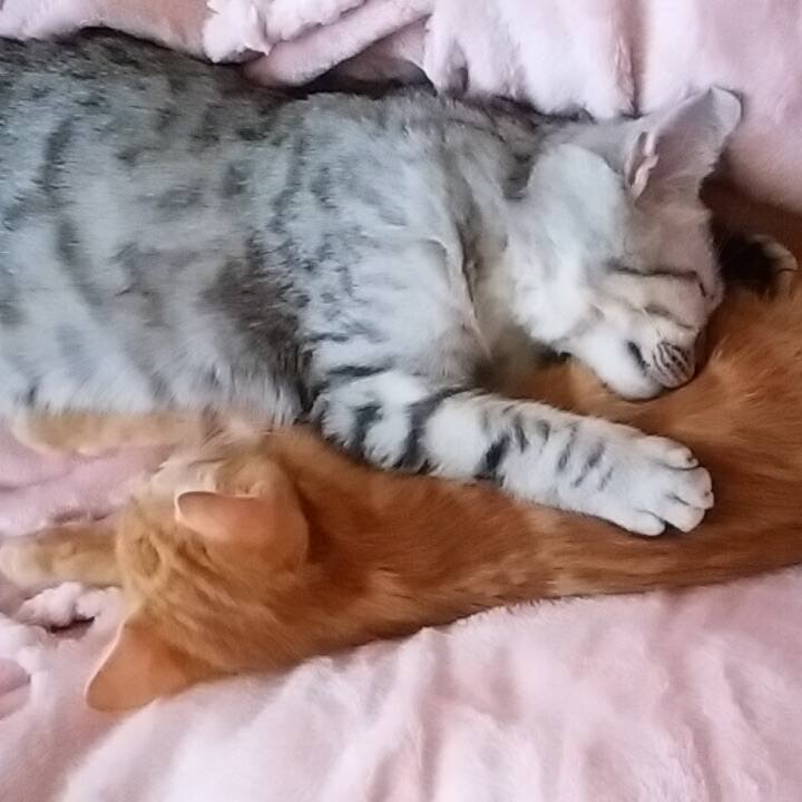 C007ebbf a77a 429f 85f7 8ad92d251c41