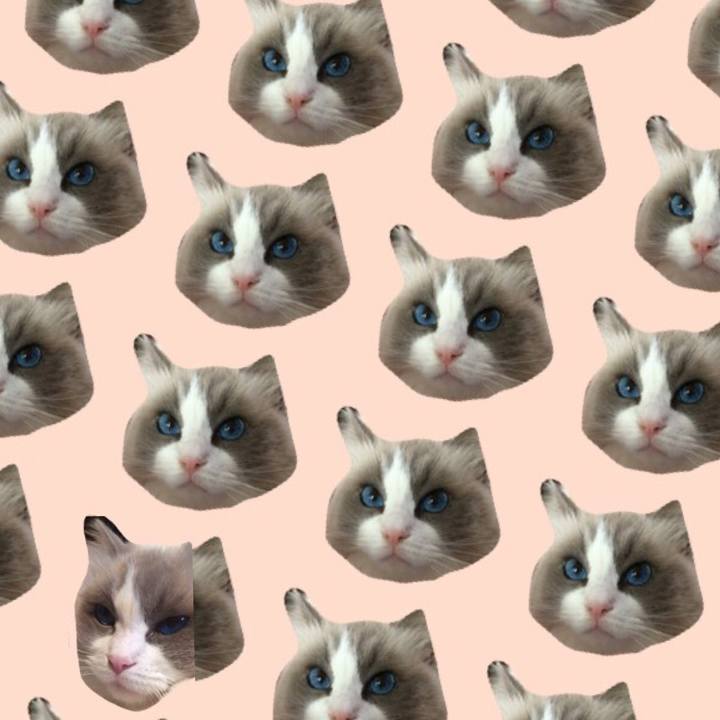 C007f19d 6f4c 4757 a267 b1ffd10a33db