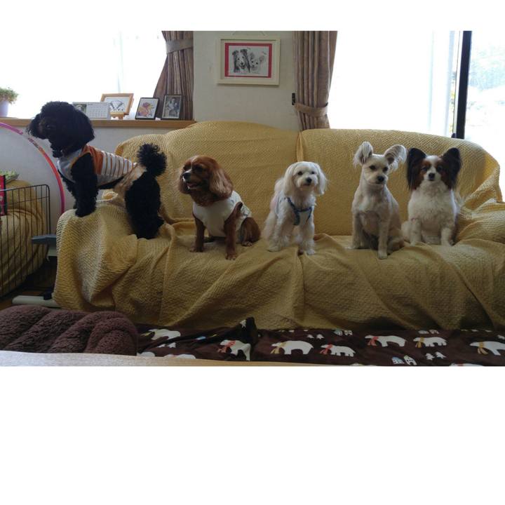 C0083d91 4ae7 47fe ba08 804548b7b932