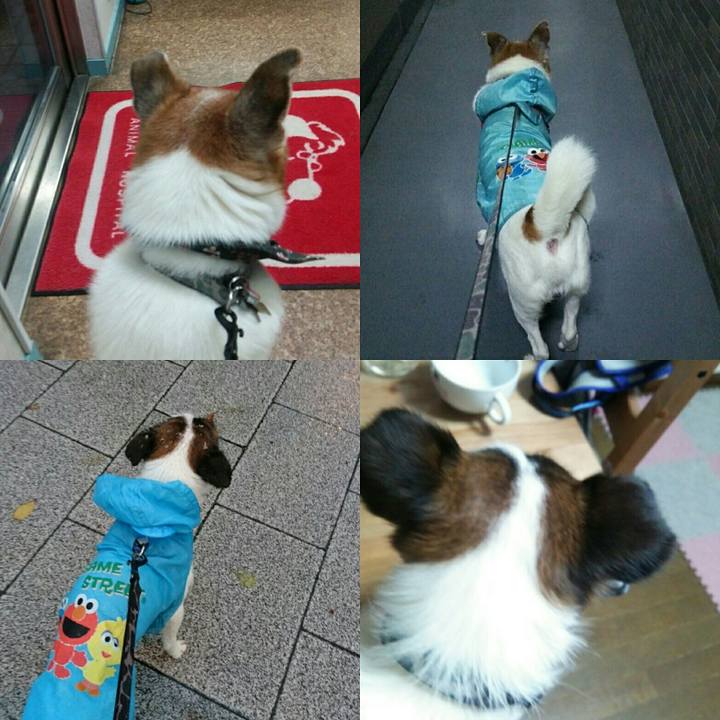 C0087e97 550a 4358 a8cd 5d28d9da4249