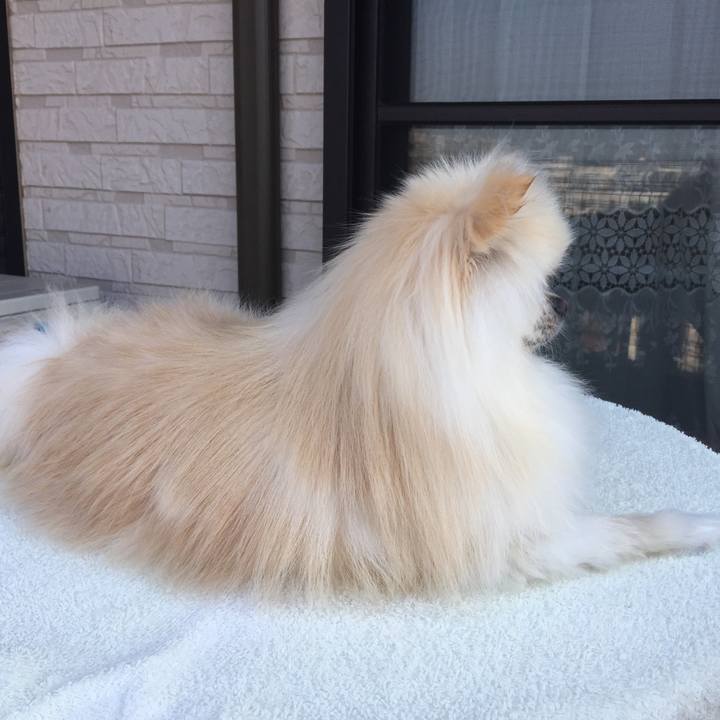 C008e9e5 e286 4f34 956b 48f70a68fc60