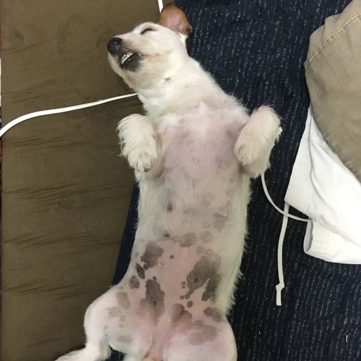 C0094d82 fae8 4398 afa4 6b8deca630c7