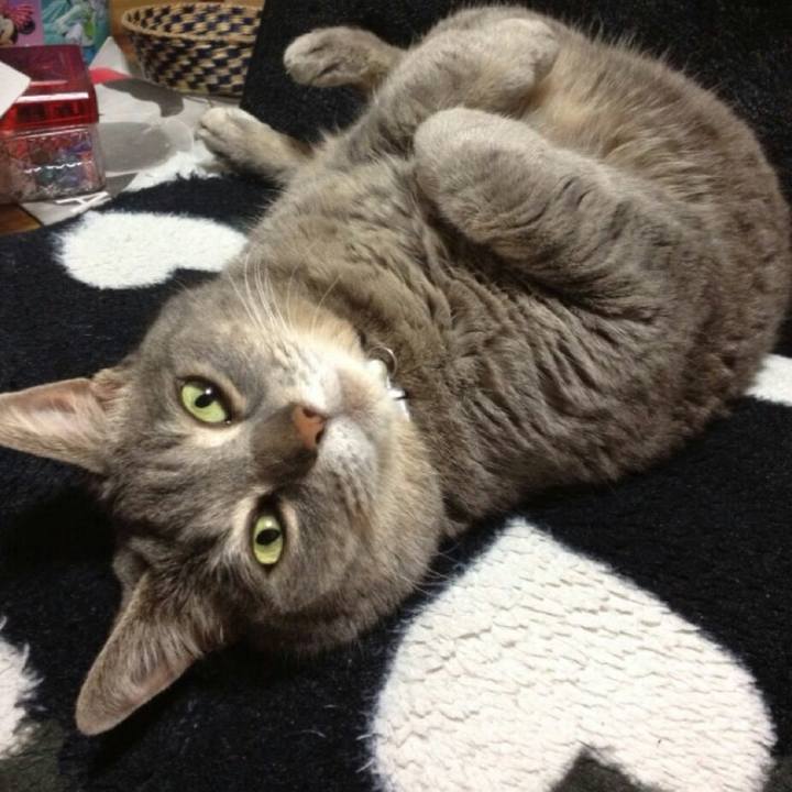 C009617c 2624 46c6 8c3c ace4b474de47