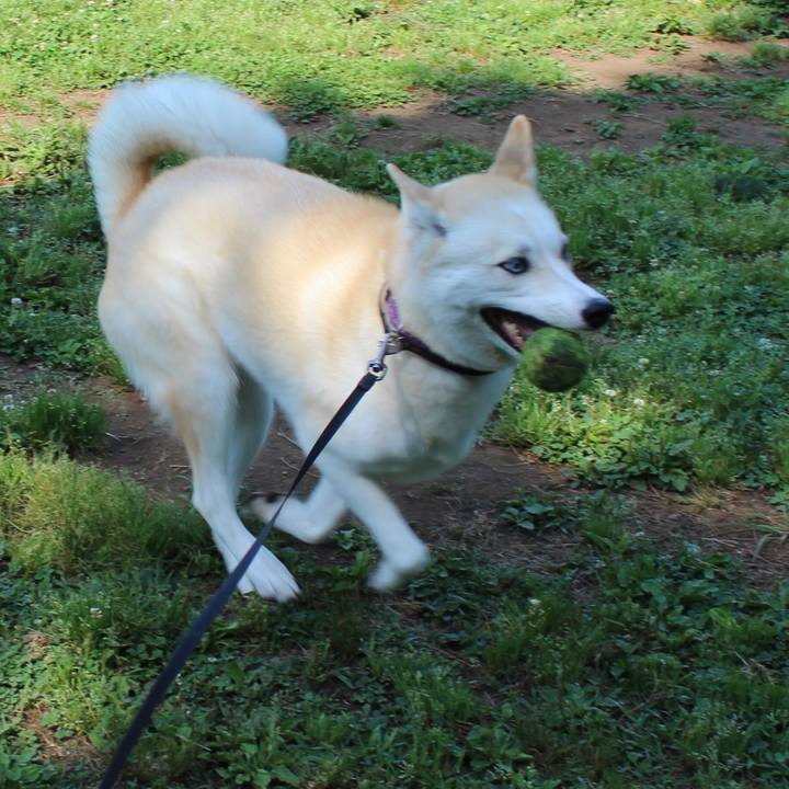 C0098b69 80a8 4ffb 8593 bec86a9ee70b