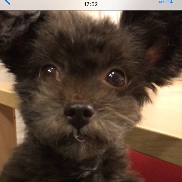 C00a1446 4298 4f6a bed5 d03b9511ad80