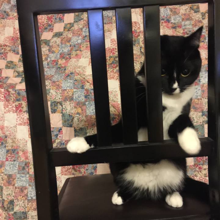 C00a7154 89b3 4460 bea5 36f31a275dd5