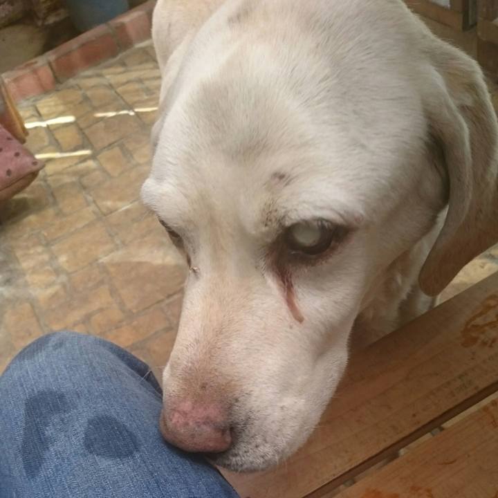 C00a8d84 fef7 4b1f 9457 5087df5d3c95