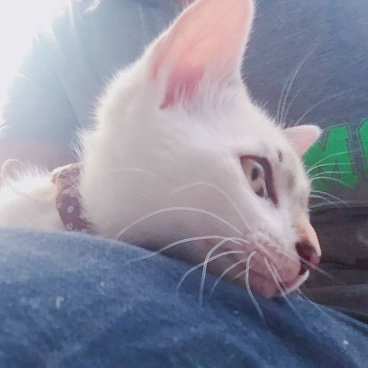 C00ab46b 38dd 4302 af04 4d82e6e12e31