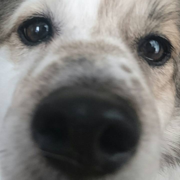 C00b29e4 dd0c 4b19 9a0c 53d090551d82