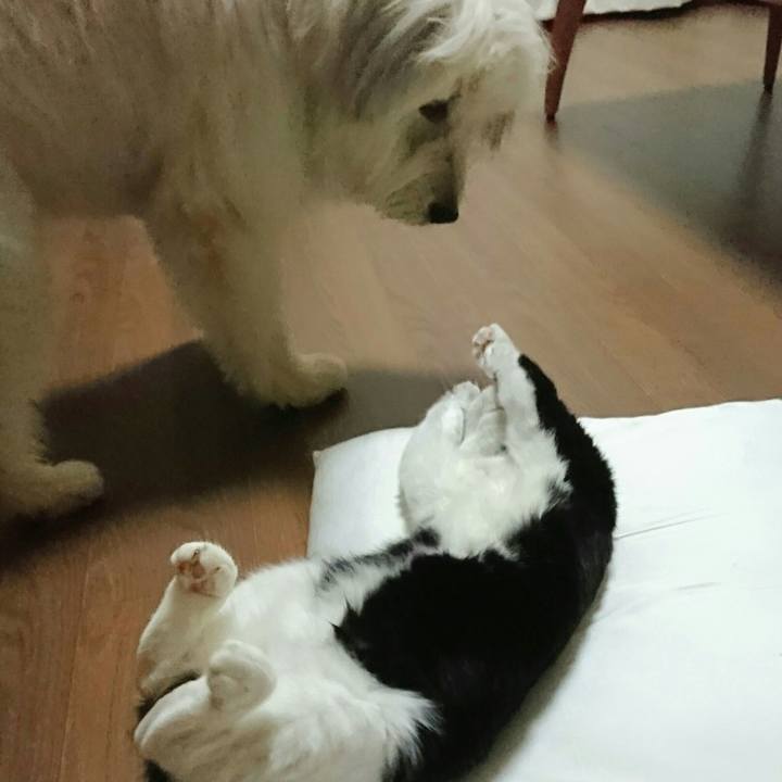 C00bc2f6 ce0c 43aa a2e8 e5acee52fbb5