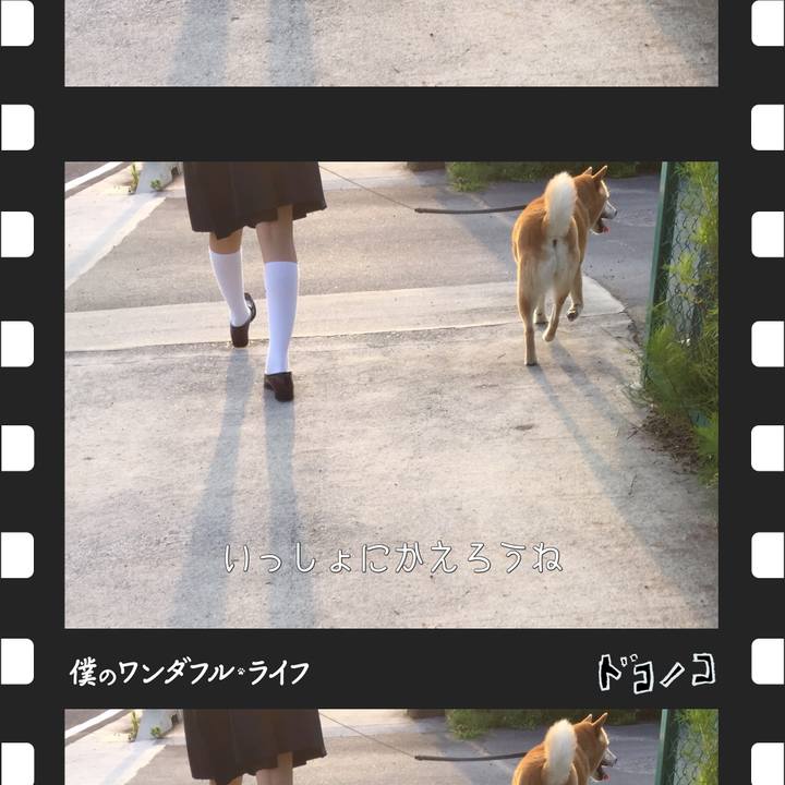 C00c6d30 f753 4f59 853f 50b2741552a0