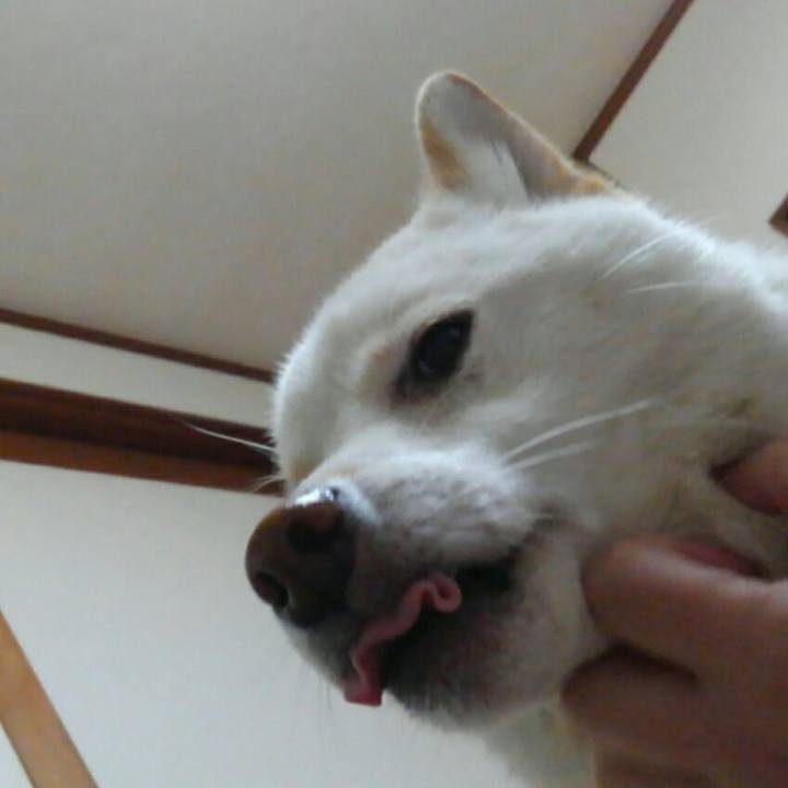 C00cc587 5895 49ba a80b 8259789fb678