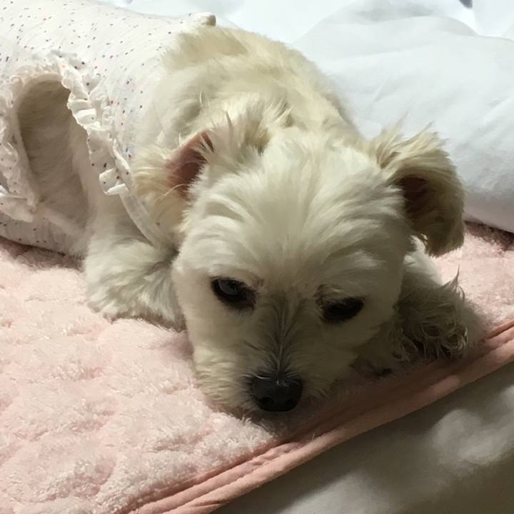 C00d4706 8c31 4c3b 8860 dd873b249e93