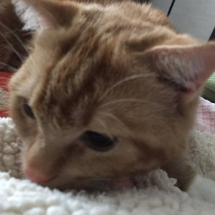 C00d6b46 3a0c 4845 8273 de06edb45430