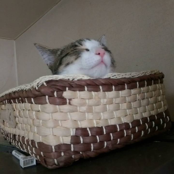 C00d6bb0 fc19 496d be12 f1c4a2bb3dcd