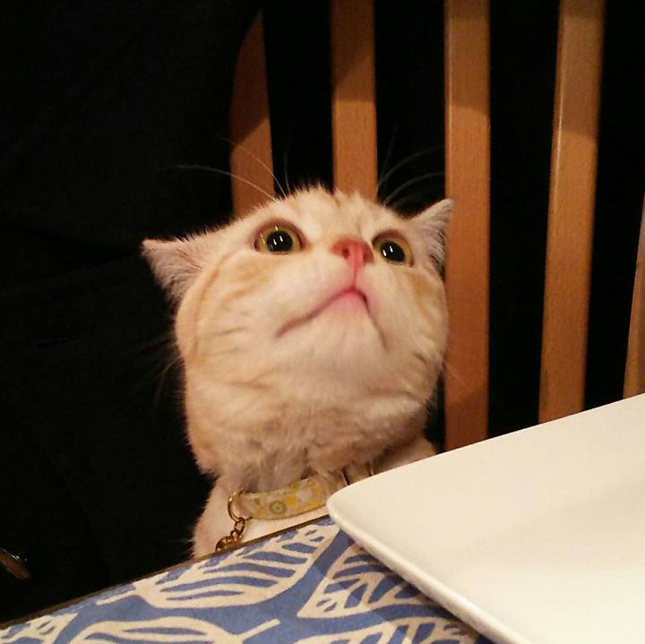 C00dbda2 579e 4aba 89cc 3fd961745883