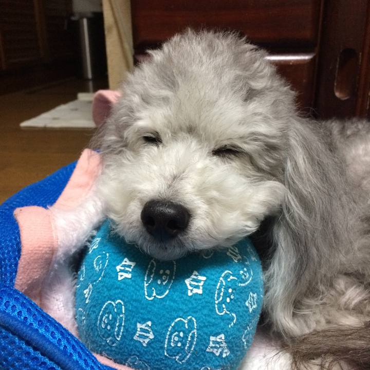 C00e301b 1663 4072 be18 9d5f5872f779