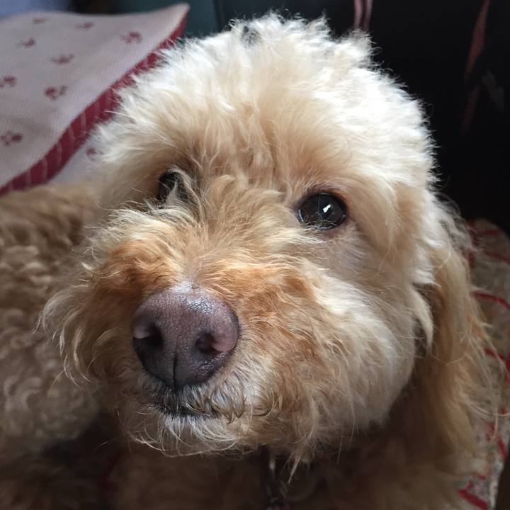 C00e8f0f 0372 4cbe b896 0afc2966dbc0