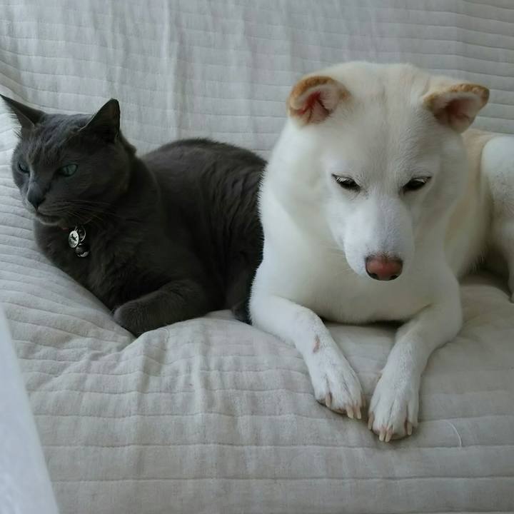 C00ed57e 8c1e 4f94 9f76 3e11a1028008