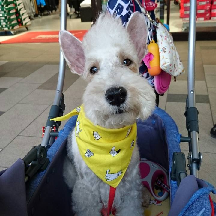 C00f96e5 e808 49e9 b8ef a0e2f86e50b9