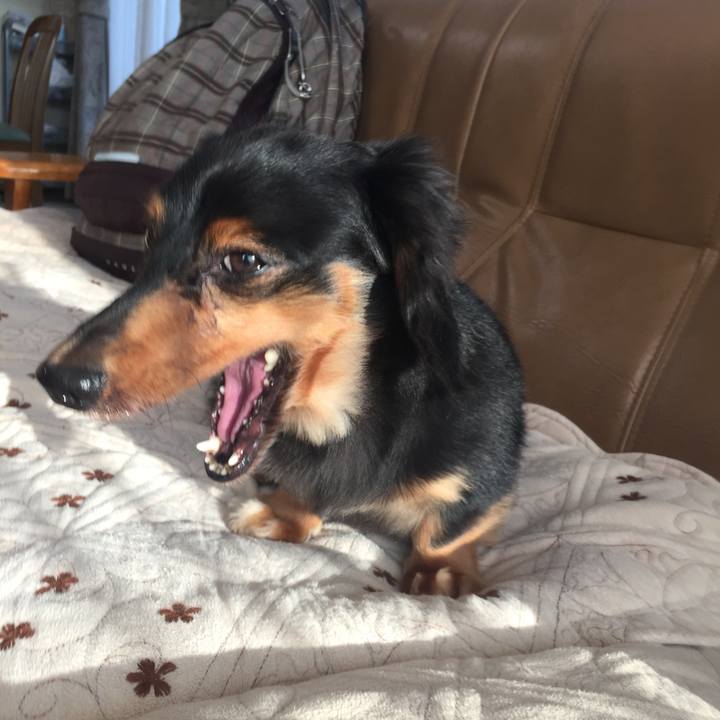 C0105c9c 3a6d 4b07 a6e6 050432b15843