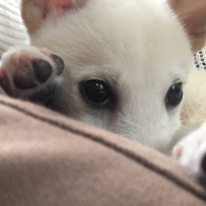 C011378d 5a8d 4478 a089 80d6d4488700