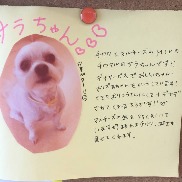 C0115085 76eb 4f16 8c90 24cc41e2548b